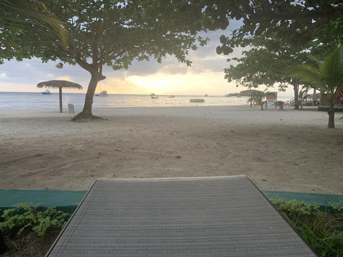 King Suite At Oceanview Resort In Jamaica - Enjoy 7 Miles Of White Sand Beach! Negril Luaran gambar